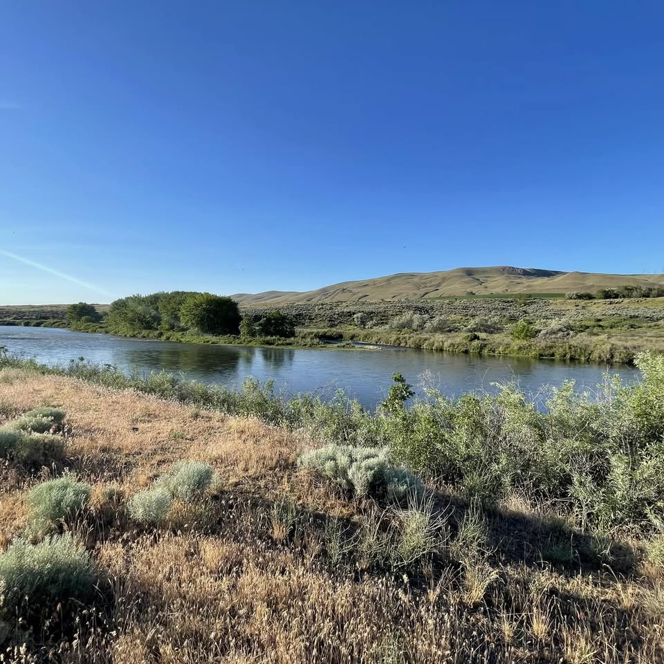 A riverside custom-home lot ready for construction